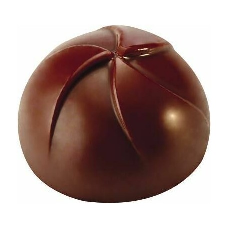 Plaque pour 21 spheres chocolat Makrolon 27,5x13,5 cm