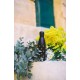 Bouteille isotherme bee 50 cl
