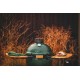 Barbecue Kamado Big Green Egg Medium 