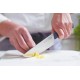 Couteau de chef Opinel Intempora 20 cm n°218