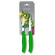 Couteau à fruit SwissClassic vert 8 cm - set de 2