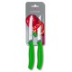 Couteau tomate SwissClassic vert 11 cm - set de 2