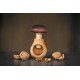 Casse noix "champignon"