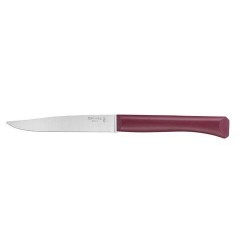 Couteau de table Bon Appétit + grenat