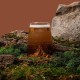 Verre Pic du Midi d'Ossau Topographic 450 ml
