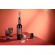 Bouchon verseur aérateur de vin 