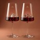 Set de 2 verres à vin Mont blanc et Everest Topographic 400 ml