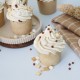 Décor comestible biscuit Petit Beurre 32 g