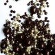 Perle comestible chocolat noir et dorée 50 g
