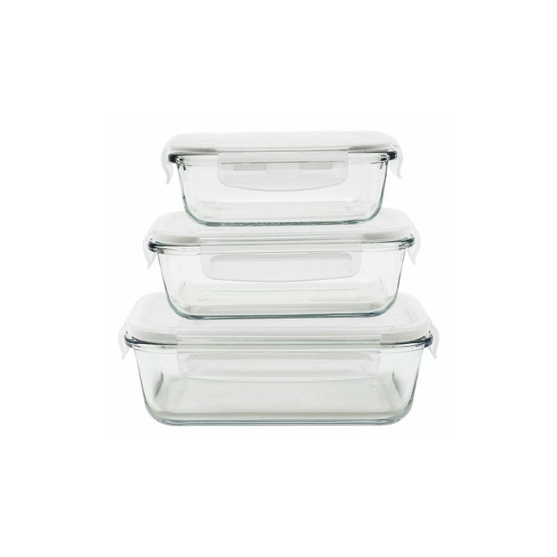 BOITES DE CONSERVATION VERRE 40/65/100CL