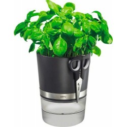 Pot à herbes et paire de ciseaux offerte