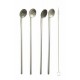 Cuillère-paille inox avec brosse de nettoyage /4