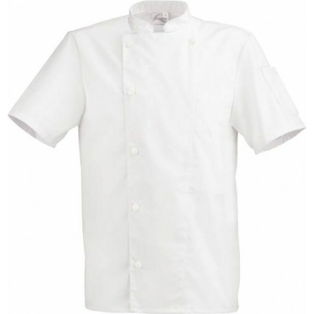Veste polycoton m. courtes blanche t4