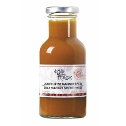 Ketchup gastronomique de mangue épicée 25cl