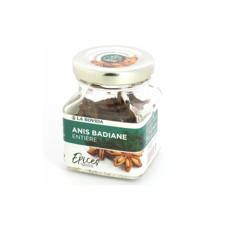 Graines de Badiane 20g