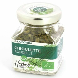 Ciboulette rondelle bio