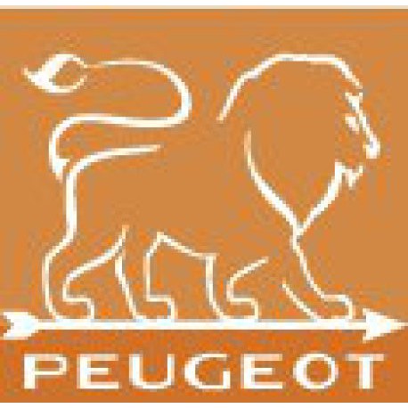 Peugeot Saveurs d'épices